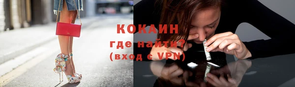 ПСИЛОЦИБИНОВЫЕ ГРИБЫ Абаза