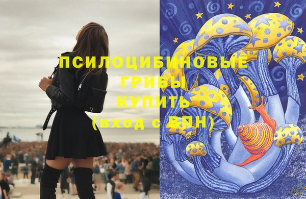 ПСИЛОЦИБИНОВЫЕ ГРИБЫ Абаза
