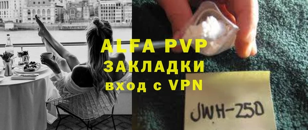 ПСИЛОЦИБИНОВЫЕ ГРИБЫ Абаза