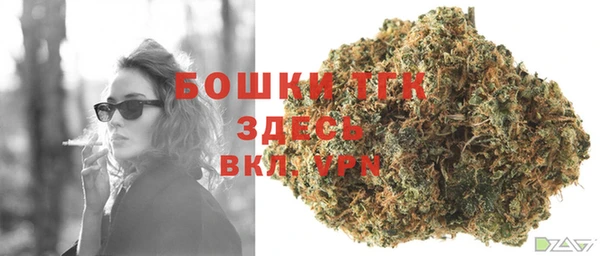 ПСИЛОЦИБИНОВЫЕ ГРИБЫ Абаза