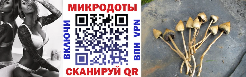 закладка  Пошехонье  Галлюциногенные грибы ЛСД 